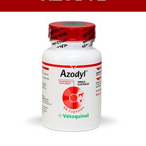 Azodyl supplement details on purchase & facts