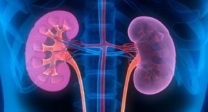 Chronic Kidney Disease - CKD