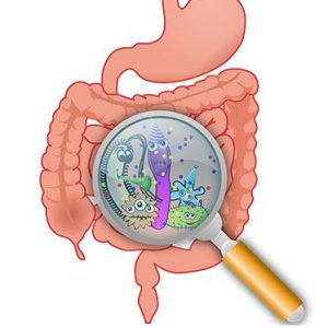 Probiotics and immune health
